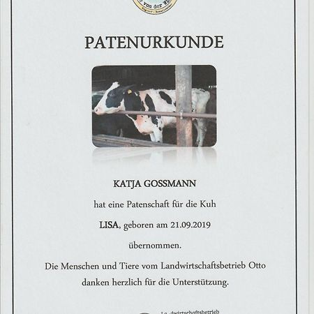 Altes Waschhaus Krakvitz Apartment Putbus Luaran gambar