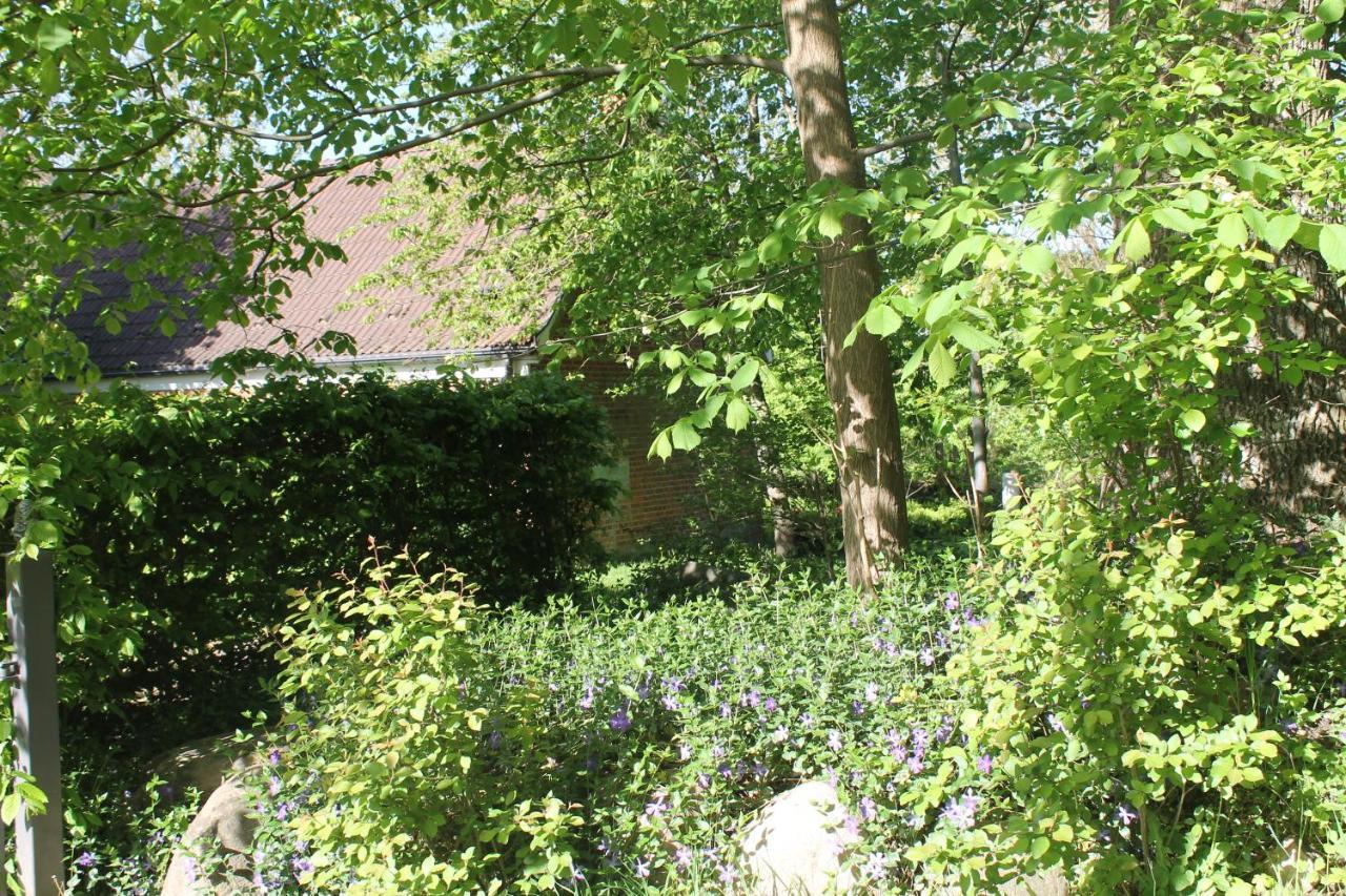 Altes Waschhaus Krakvitz Apartment Putbus Luaran gambar